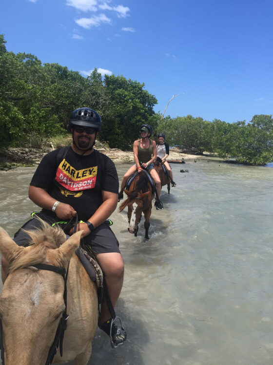 Tribe Travel