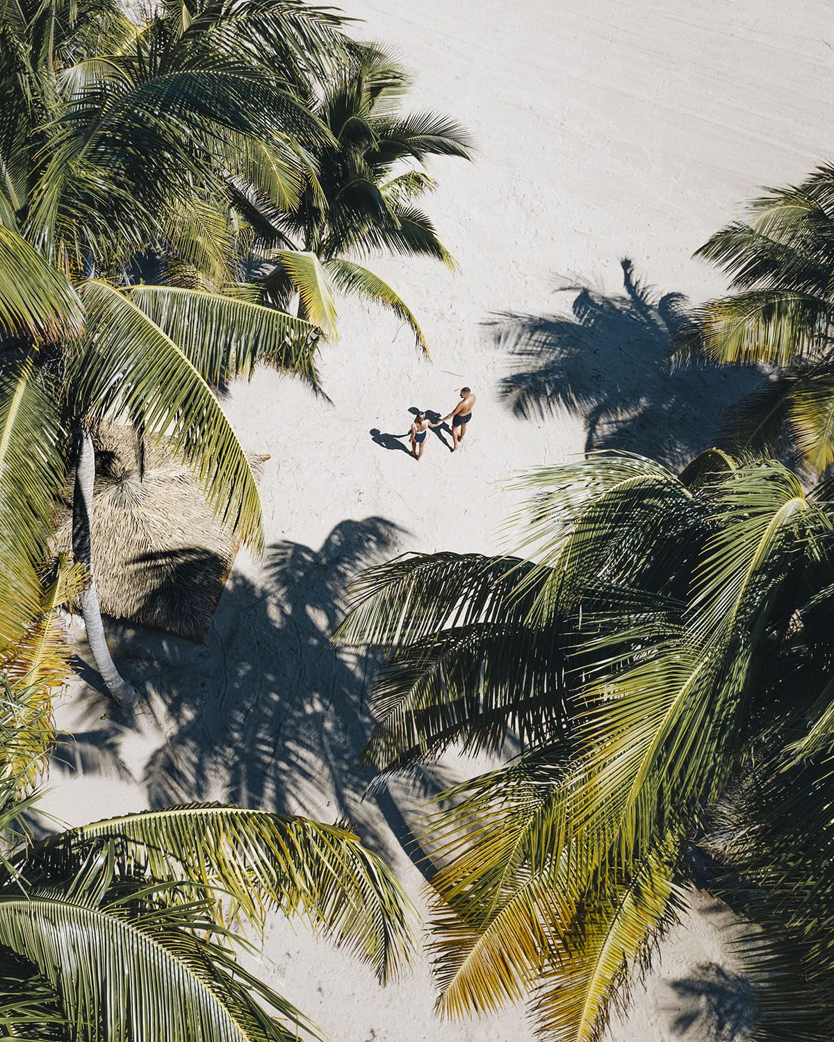 Island Paradise