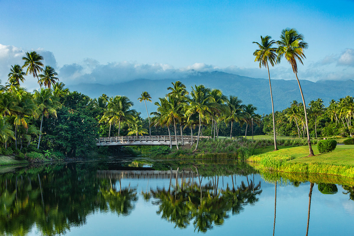 Yunque Rain Forest