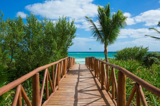 Walkway to beach