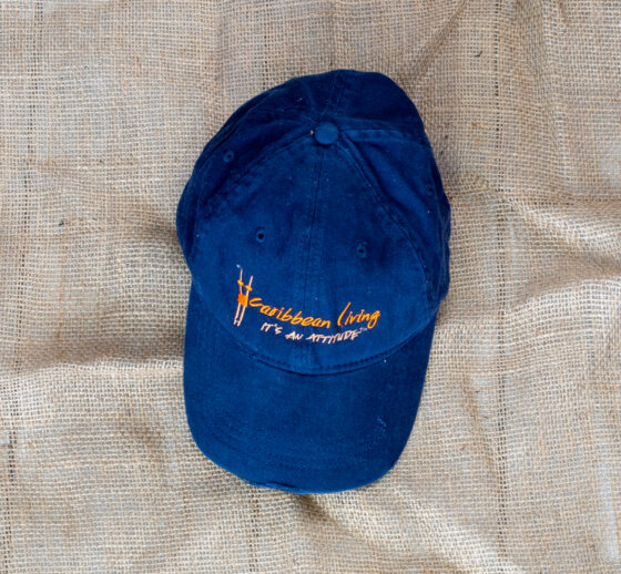 Caribbean Living Distressed Dad Cap