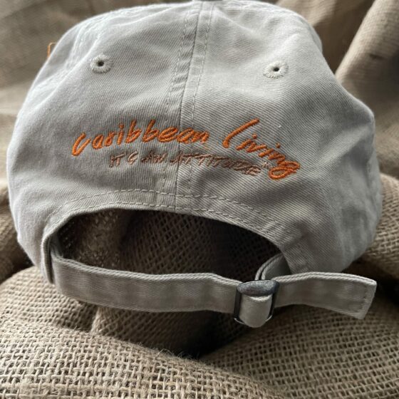 Embroidered Bikini Logo Khaki Cap - Image 3